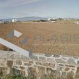  (For Sale) Land Plot || Cyclades/Naxos - 8.600 Sq.m, 750.000€ Naxos - Chora 7586522 thumb0