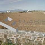  (For Sale) Land Plot || Cyclades/Naxos - 4.550 Sq.m, 400.000€ Naxos - Chora 7586528 thumb0