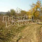  Large panoramic plot at old asphalt road near river Maryan village 5586553 thumb1