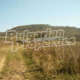  Large panoramic plot at old asphalt road near river Maryan village 5586553 thumb5
