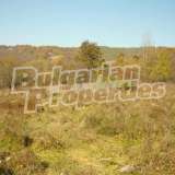  Large panoramic plot at old asphalt road near river Maryan village 5586553 thumb2