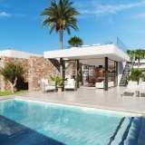  Detached Luxury Villas with Pools in Torre Pacheco Murcia Murcia 8086642 thumb0