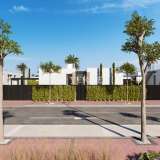  Detached Luxury Villas with Pools in Torre Pacheco Murcia Murcia 8086642 thumb3