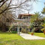 For Sale - (€ 0 / m2), Country House 367 m2 Sithonia 4986699 thumb4
