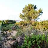 Terreno para moradia Plot for Villa, at Aljezur, Algarve (8)