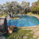  Sea View Special Design Country Houses in Bodrum Bodrum 8087214 thumb17