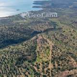  For Sale - (€ 0 / m2), Agricultural 14000 m2 Ermioni 8087048 thumb9