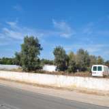   Moncarapacho (Osten Algarve) 7987530 thumb2