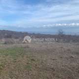  Agricultural land near the village of Emona Emona village 6387670 thumb6
