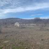  Agricultural land near the village of Emona Emona village 6387670 thumb5