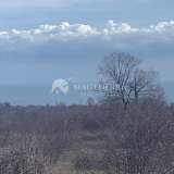  Agricultural land near the village of Emona Emona village 6387670 thumb3