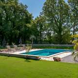  ISTRIA, TINJAN - House with a swimming pool on the edge of the village Tinjan 8187705 thumb2