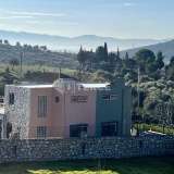  Villa zum Verkauf geeignet für natürlichen Lebensstil in İzmir Torbalı Torbali 8187810 thumb7