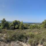  INVESTMENT PROPERTY 200M. FROM THE SEA IN PORTO CHELI Ermioni 8087993 thumb1