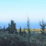  For Sale - (€ 0 / m2), Agricultural 15609 m2 Lefkada 7888736 thumb4