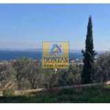  (For Sale) Commercial Building || Chios/Chios - 1.210 Sq.m, 720.000€ Chios 8089462 thumb5