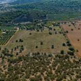  For Sale - (€ 0 / m2), Agricultural 50000 m2 Ermioni 7989525 thumb7