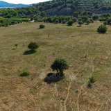  For Sale - (€ 0 / m2), Agricultural 50000 m2 Ermioni 7989525 thumb9