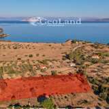  For Sale - (€ 0 / m2), Agricultural 6290 m2 Kranidi 7889710 thumb4