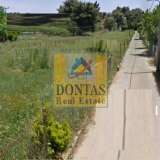  (For Sale) Residential Detached house || East Attica/Drosia - 280 Sq.m, 700.000€ Drosia 6989777 thumb4