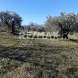  Verkauf - (€ 0 / m2), Agricultural 30480 m2 Nea Ionia Volou 8089965 thumb4