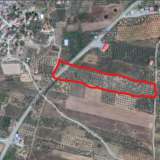  excellent plot 24000 sqm of land with 500 olive trees Oreoi 4509108 thumb0