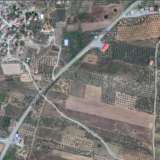  excellent plot 24000 sqm of land with 500 olive trees Oreoi 4509108 thumb2