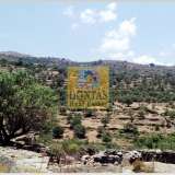  (For Sale) Land Agricultural Land  || Cyclades/Kea-Tzia - 17.500 Sq.m, 250.000€ Kea 7809127 thumb0