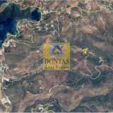 (For Sale) Land Agricultural Land  || Cyclades/Kea-Tzia - 17.500 Sq.m, 250.000€ Kea 7809127 thumb8