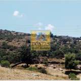  (For Sale) Land Agricultural Land  || Cyclades/Kea-Tzia - 17.500 Sq.m, 250.000€ Kea 7809127 thumb3