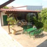  DETACHED HOUSE IN THE CENTER OF THE VILLAGE WITH GARDEN Moudania 6009027 thumb15