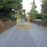  (For Sale) Land Plot || East Attica/Acharnes (Menidi) - 1.030 Sq.m, 280.000€ Athens 7309393 thumb1