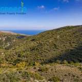  For sale an investment, even and buildable plot of 7,565 sq.m. in Old Skala of Kefalonia, outside the plan, non-forest, suitable for cultivation and livestock farming.INFORMATION IN : (+30)6945051223 - (+30)2107710150www.buy2greece.grbuy2greec Kefalonia 7609483 thumb2