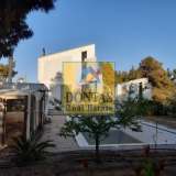  (For Sale) Residential Detached house || East Attica/Stamata - 600 Sq.m, 5 Bedrooms, 800.000€ Athens 7009050 thumb1