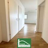  LEO 131 - hochwertiger Neubau zu fairen Preisen - gut angebunden (U1 Leopoldau + U6 Floridsdorf) - mit vollmöblierter Küche & Freifläche. - WOHNTRAUM Wien 8009051 thumb0