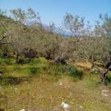  For Sale - (€ 0 / m2), Agricaltural 5500 m2 Sourpi 4309634 thumb4