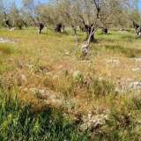  For Sale - (€ 0 / m2), Agricaltural 5500 m2 Sourpi 4309634 thumb3