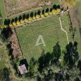  Two plots of land of 2136m2 with a building of 63m2 in Bar Bar 8009844 thumb5