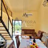  Kotor belediyesi Zagora'da bir evin birinci katında tek odalı bir daire kiralamak - (TEMMUZ, AĞUSTOS, EYLÜL) Zagora 8009853 thumb10