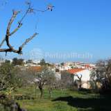   Albufeira (Zentral Algarve) 3709981 thumb10