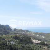  For Sale - (€ 0 / m2), Agricultural 6964 m2 Lefkada 7790109 thumb6