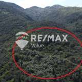  For Sale - (€ 0 / m2), Agricultural 6964 m2 Lefkada 7790109 thumb2