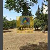  (For Sale) Land Plot || Athens North/Kifissia - 320 Sq.m, 460.000€ Athens 8190254 thumb7