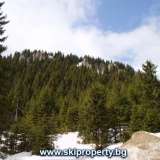   Bulgaria ski property , Pamporovo property, property in Pamporovo, apartments in pamporovo  Pamporowo 3990389 thumb30