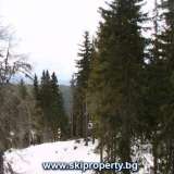   Bulgaria ski property , Pamporovo property, property in Pamporovo, apartments in pamporovo  Pamporowo 3990389 thumb33