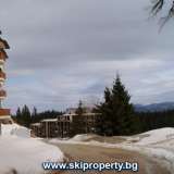   Bulgaria ski property , Pamporovo property, property in Pamporovo, apartments in pamporovo  Pamporowo 3990389 thumb5