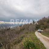  For Sale - (€ 0 / m2), Agricultural 4705 m2 Portaria 8090732 thumb8