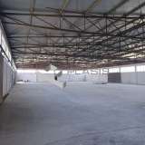  (For Sale) Commercial Building || Thessaloniki Suburbs/Echedoros - 4.400 Sq.m, 1.800.000€ Sindos 8190075 thumb0
