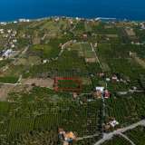  For Sale - (€ 0 / m2), Agricultural 2580 m2 Troizinia 7990819 thumb1