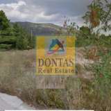  (For Sale) Land Plot || East Attica/Dionysos - 1.650 Sq.m, 430.000€ Dionysos 7090881 thumb0